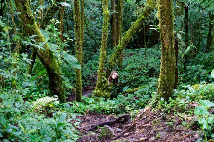Valda maskējas Panamas džungļos